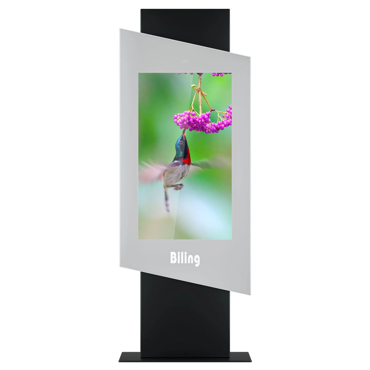 Hooded Pedestal Outdoor Digital Signage Kiosk — Enclosure & product views reference 3