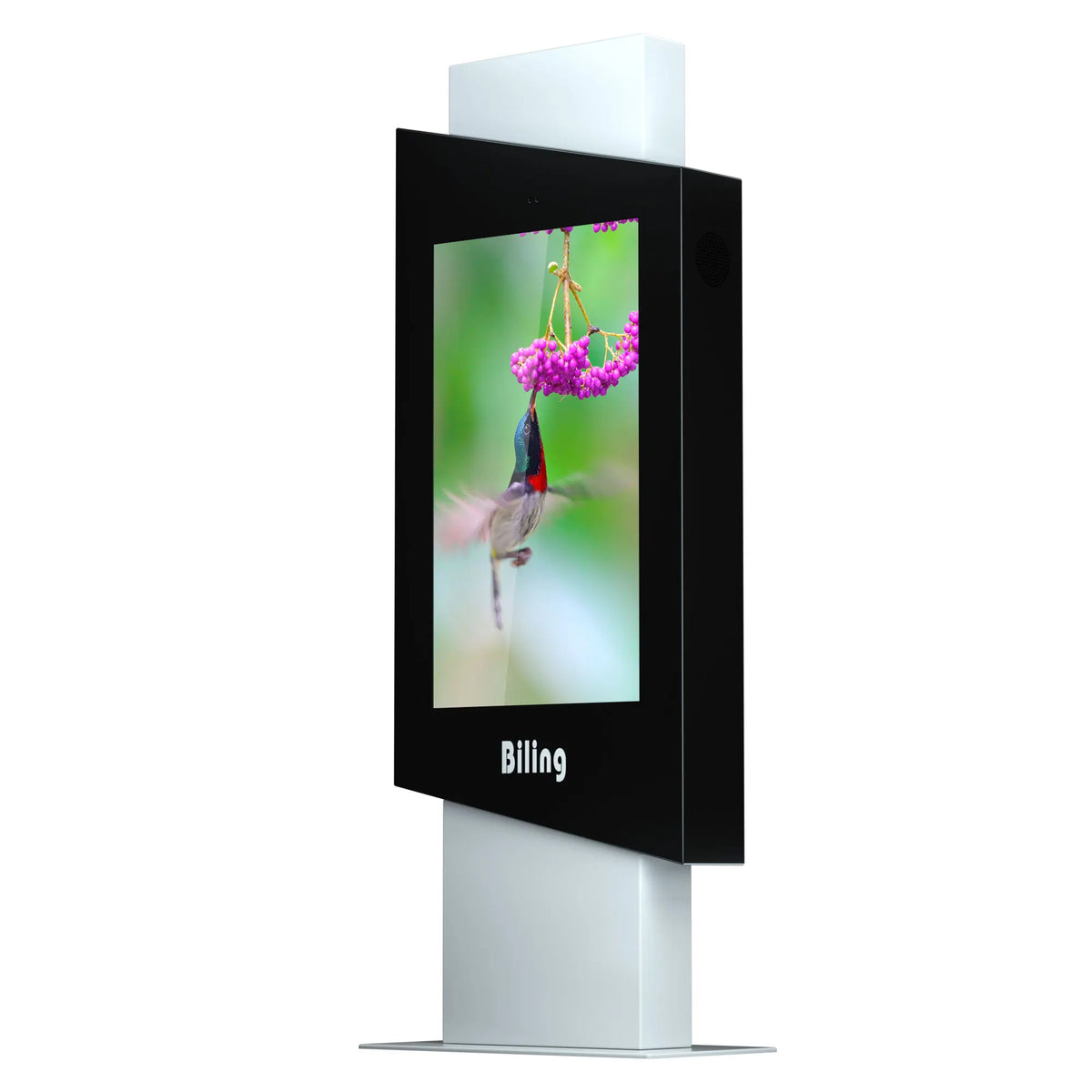 Hooded Pedestal Outdoor Digital Signage Kiosk — Enclosure & product views reference 9
